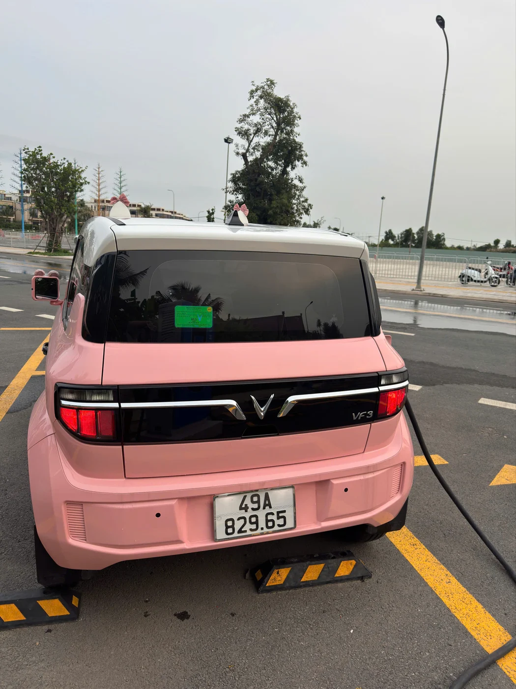VinFast VF3 (độ hồng) - ảnh 3