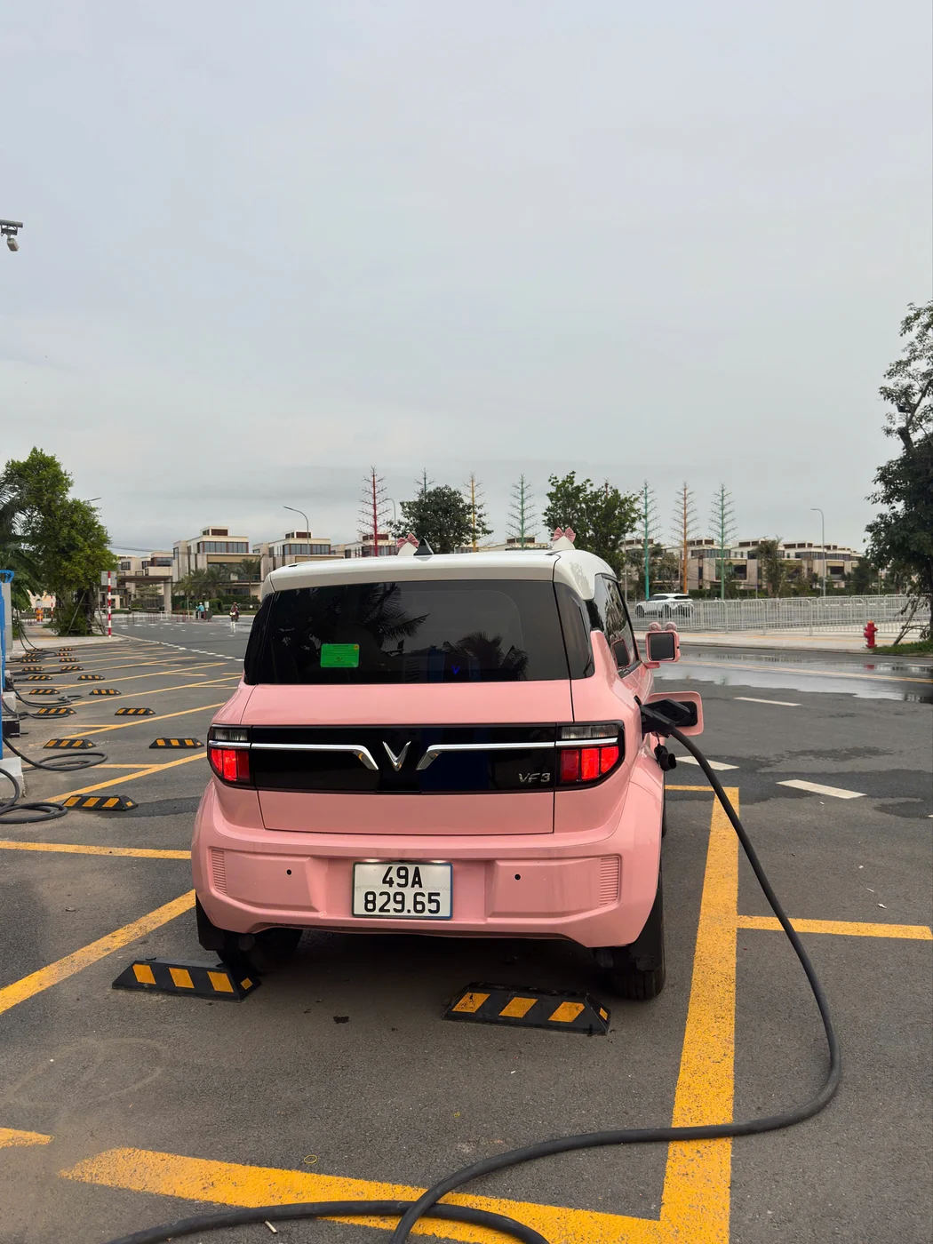 VinFast VF3 (độ hồng) - ảnh 4