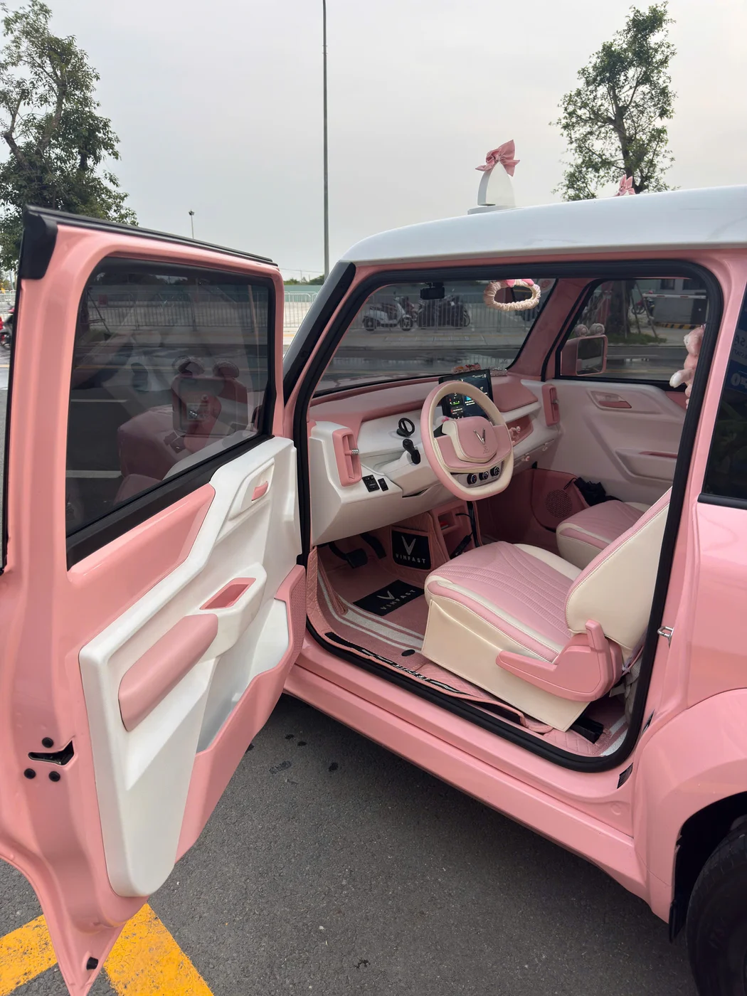 VinFast VF3 (độ hồng) - ảnh 9